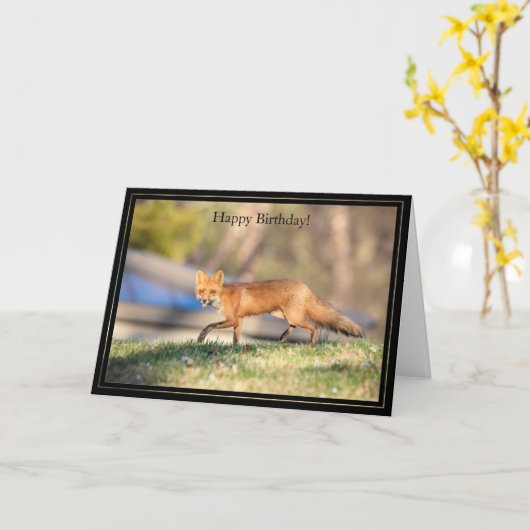 Happy Birthday Card Red Fox Kaart (Gele Bloem)