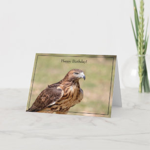 Happy Birthday Card Red-Tailed Hawk Kaart