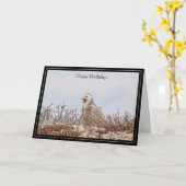 Happy Birthday Card Snowy Owl Kaart (Gele Bloem)