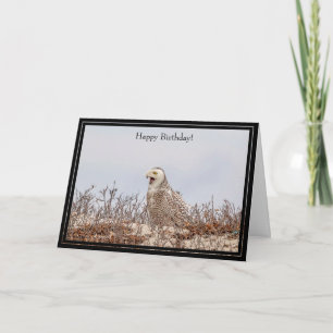 Happy Birthday Card Snowy Owl Kaart