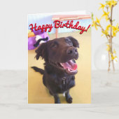 Happy Birthday Card | The Happy Boy Kaart (Gele Bloem)