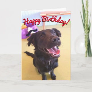 Happy Birthday Card | The Happy Boy Kaart