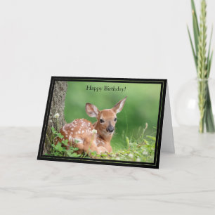 Happy Birthday Card White-Getailed Deer Fawn Kaart