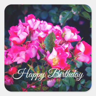 Happy Birthday Carefree Spirit Roos #1 Sticker