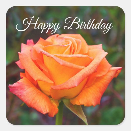 Happy Birthday Caribbean Roos #2 Sticker (Voorkant)