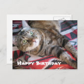 Happy Birthday Cat Briefkaart (Voorkant / Achterkant)