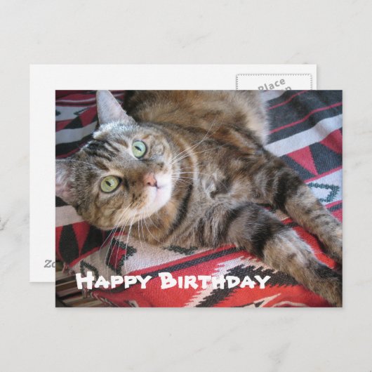 Happy Birthday Cat Briefkaart (Voorkant / Achterkant)