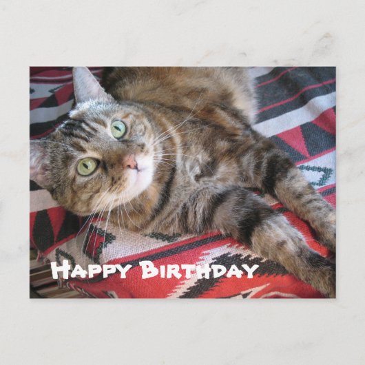 Happy Birthday Cat Briefkaart (Voorkant)