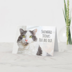 Happy Birthday Cat denkt dat je een oude Humor ben Feestdagen Kaart