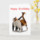 Happy Birthday Cat Friends Kaart (Gele Bloem)