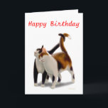 Happy Birthday Cat Friends Kaart<br><div class="desc">Origineel fine art ontwerp van twee vriendelijke poezen door kunstenares Carolyn McFann van Two Spinnende Cats Studio op een aanpasbare verjaardagskaart voor katachtige fans. Bekijk een paar van onze producten hieronder (klik om naar dat product te gaan) en bezoek onze zeer artistieke winkels op:</div>