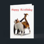 Happy Birthday Cat Friends Kaart<br><div class="desc">Origineel fine art ontwerp van twee vriendelijke poezen door kunstenares Carolyn McFann van Two Spinnende Cats Studio op een aanpasbare verjaardagskaart voor katachtige fans. Bekijk een paar van onze producten hieronder (klik om naar dat product te gaan) en bezoek onze zeer artistieke winkels op:</div>