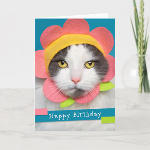 Happy Birthday  Cat in een Bloem Pet Humor Feestdagen Kaart