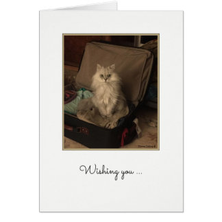 Happy Birthday Cat in Suitcase Kaart
