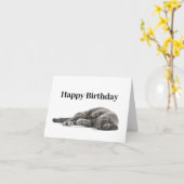 Happy Birthday Cat Lover Card Kaart (Gele Bloem)