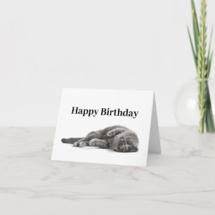 Happy Birthday Cat Lover Card Kaart