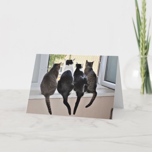 Happy Birthday Cat Lover Card Kaart (Voorkant)