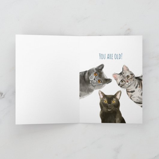 Happy Birthday Cat Lover | Funny Editable Text Kaart (Binnen)