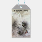 Happy Birthday Cat Lover Gift Label Cadeaulabel (Voorkant)