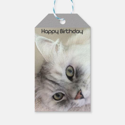 Happy Birthday Cat Lover Gift Label Cadeaulabel (Voorkant)