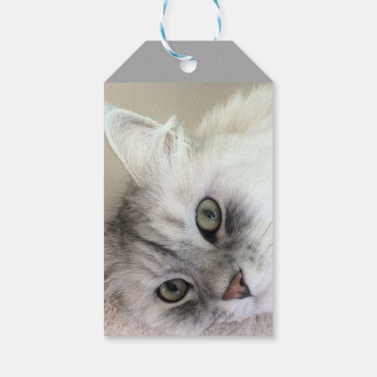 Happy Birthday Cat Lover Gift Label Cadeaulabel (Achterkant)