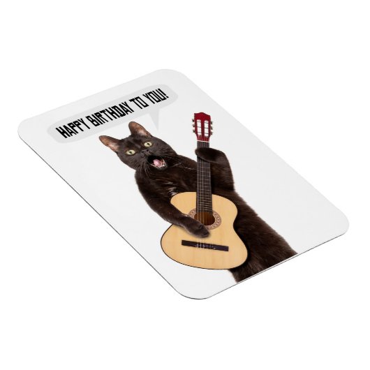 Happy Birthday Cat Singing and Palling Guitar Holi Magneet (Rechterzijde)