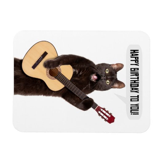Happy Birthday Cat Singing and Palling Guitar Holi Magneet (Horizontaal)