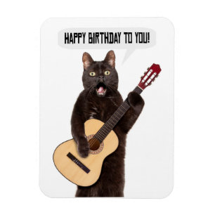 Happy Birthday Cat Singing and Palling Guitar Holi Magneet