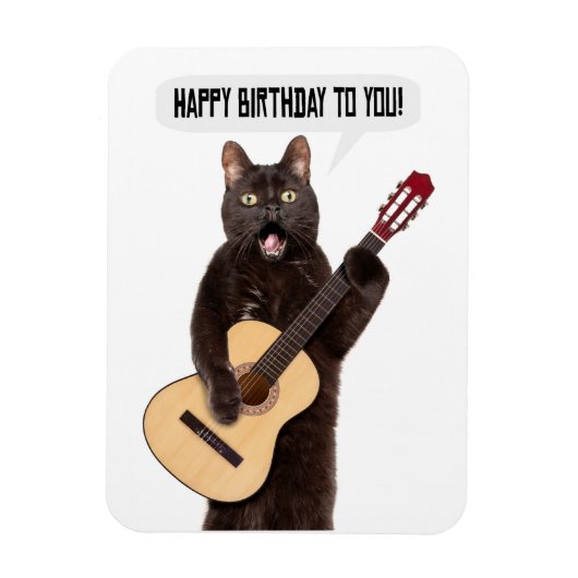 Happy Birthday Cat Singing and Palling Guitar Holi Magneet (Verticaal)
