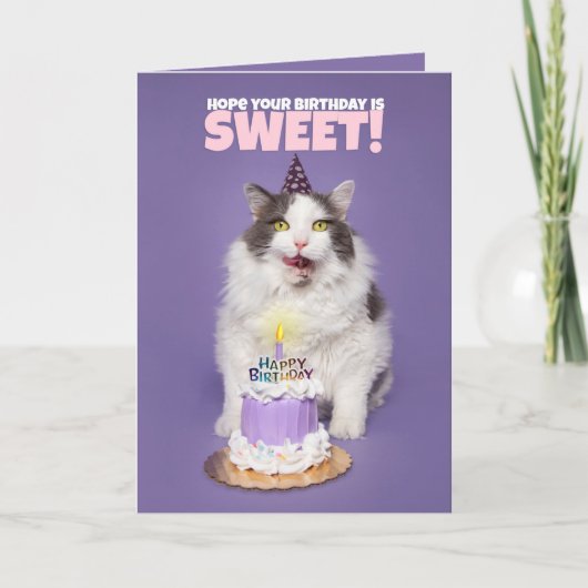 Happy Birthday Cat with Cake Lick Face Humor Feestdagen Kaart (Voorkant)