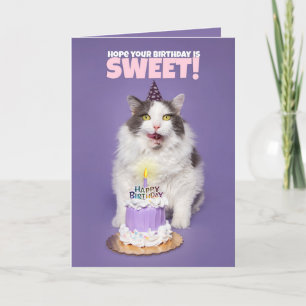 Happy Birthday Cat with Cake Lick Face Humor Feestdagen Kaart