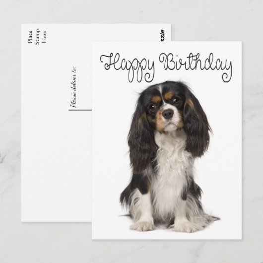 Happy Birthday Cavalier King Charles Spaniel Briefkaart (Voorkant / Achterkant)