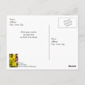 Happy Birthday Cheerful Bouquet Painterly Briefkaart (Achterkant)