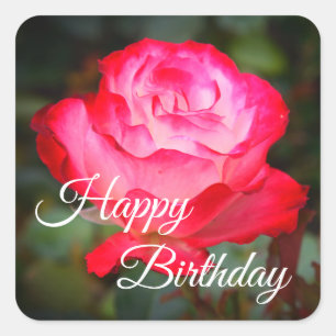 Happy Birthday Cherry Parfait Roos #3 Sticker
