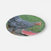 Happy Birthday Chicken Loves Watermelon Papieren Bordje (Gekanteld)