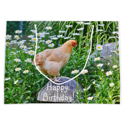 Happy Birthday Chicken with Daisies Groot Cadeauzakje (Voorkant)