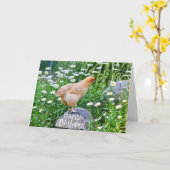 Happy Birthday Chicken with Daisies Kaart (Gele Bloem)