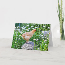 Happy Birthday Chicken with Daisies Kaart