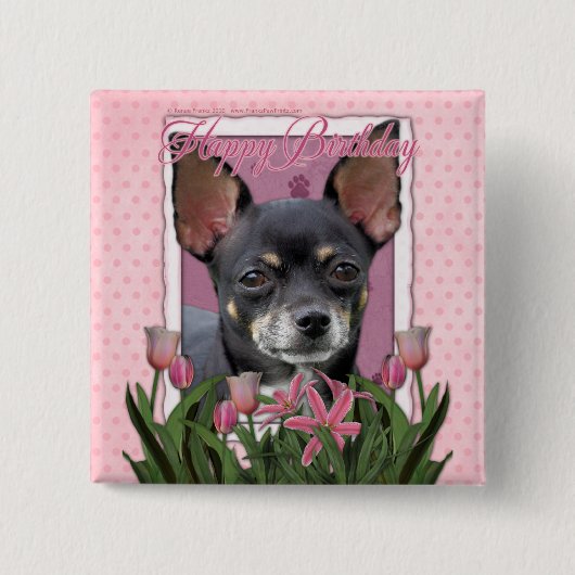 Happy Birthday - Chihuahua - Isabella Vierkante Button 5,1 Cm (Voorkant)