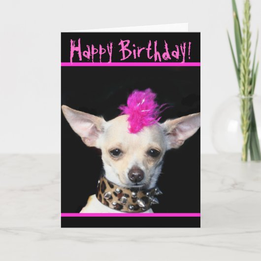 Happy Birthday Chihuahua Punk greeting card Kaart (Voorkant)