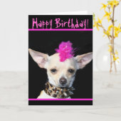 Happy Birthday Chihuahua Punk greeting card Kaart (Gele Bloem)