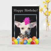 Happy Birthday Chihuahua Punk Wenskaart Kaart (Gele Bloem)