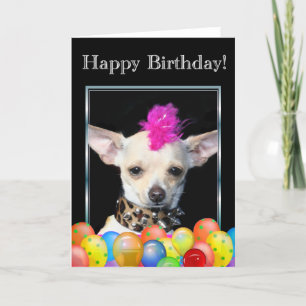 Happy Birthday Chihuahua Punk Wenskaart Kaart