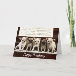Happy Birthday Chihuahua Puppy Dog ( Chewawa ) Kaart