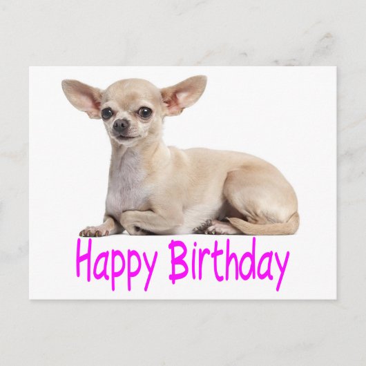 Happy Birthday Chihuahua Puppy Dog Paarse Verzen Briefkaart (Voorkant)