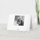 Happy Birthday Chihuahua Puppy Dog Wenskaart Kaart (Achterkant)