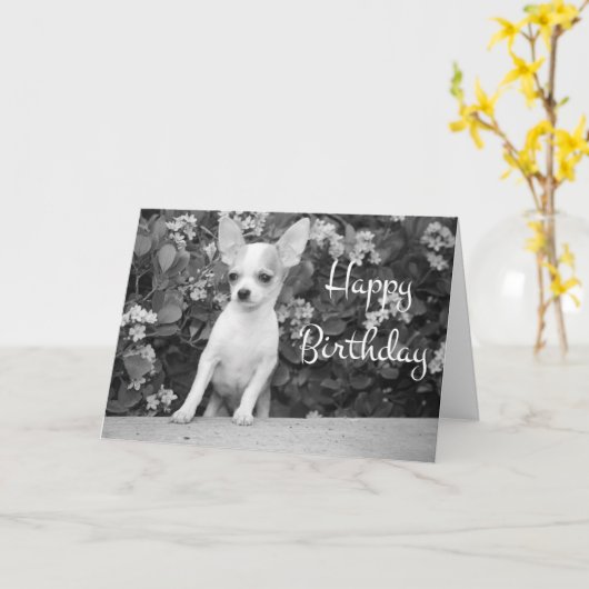 Happy Birthday Chihuahua Puppy Dog Wenskaart Kaart (Gele Bloem)