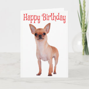 Happy Birthday Chihuahua Puppy Red Verse Kaart