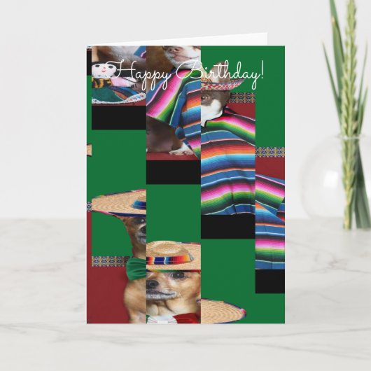 Happy Birthday Chihuahuas Card Kaart (Voorkant)