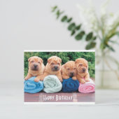Happy Birthday Chinese Shar Pei Puppy Dog Briefkaa Briefkaart (Staand voorkant)